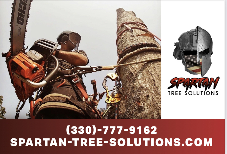 Spartan Tree Solutions